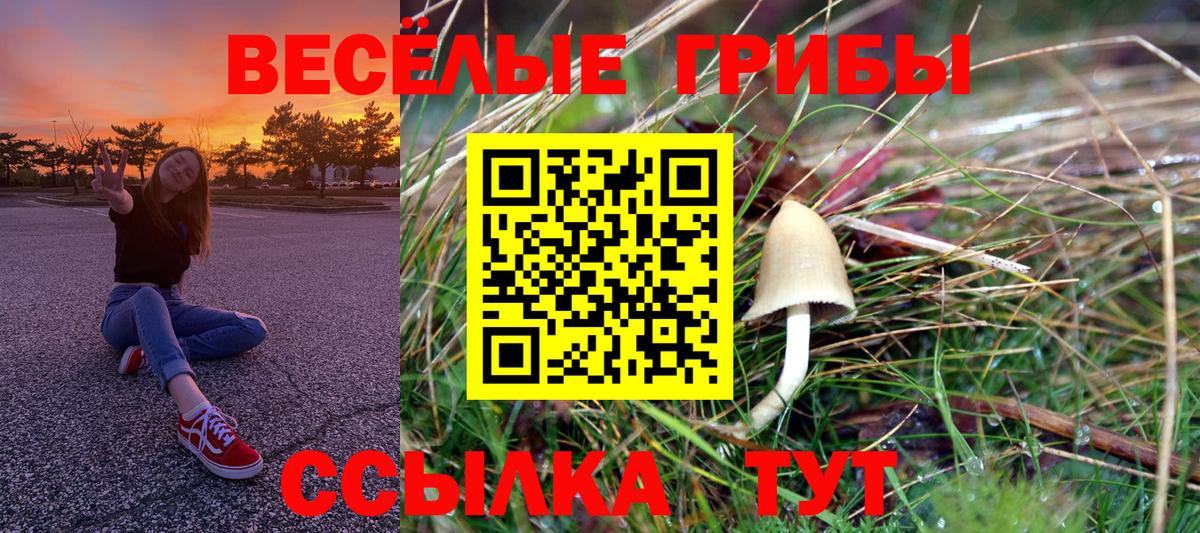 Псилоцибиновые грибы мухоморы Гурьевск