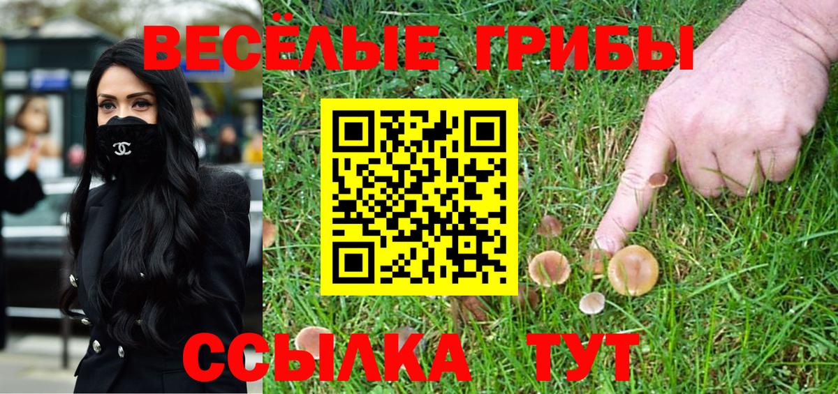 Галлюциногенные грибы GOLDEN TEACHER  Галлюциногенные грибы MAGIC MUSHROOMS  Вход с VPN  Гурьевск 