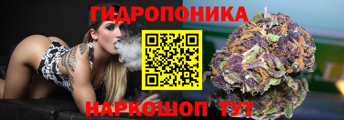 Шишки марихуана ГИДРОПОН  МАРИХУАНА VHQ  Гурьевск  Шишки марихуана гибрид  Каннабис планчик  Вход с VPN 